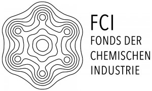 FCI_LOGO_SW_72_01